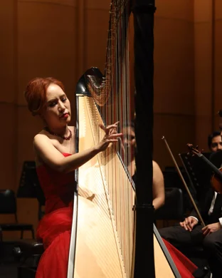 Valentine's with Romeo and Juliet