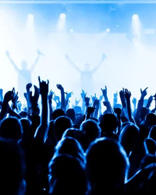 Magical Mystery Doors - Beatles, Zeppelin, & Doors Tribute