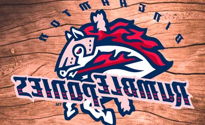 Binghamton Rumble Ponies