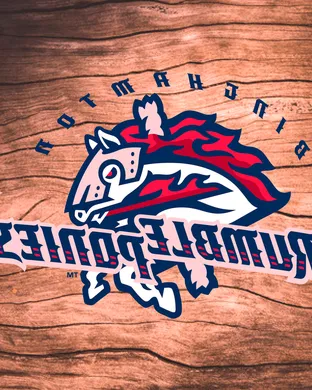 Binghamton Rumble Ponies