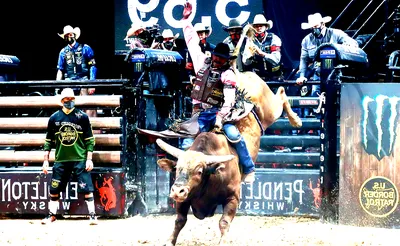 PBR - Professional Bull Riders