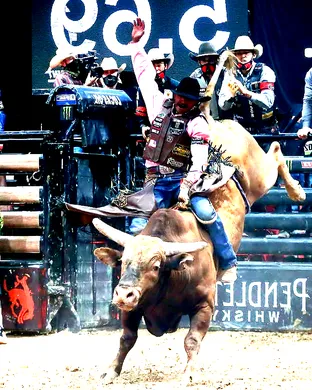 PBR - Professional Bull Riders