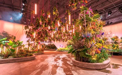 Philadelphia Flower Show