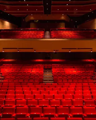 Reading Festival (Time: TBD) - Sunday