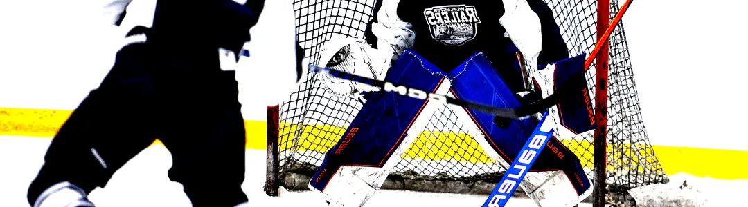 Worcester Railers
